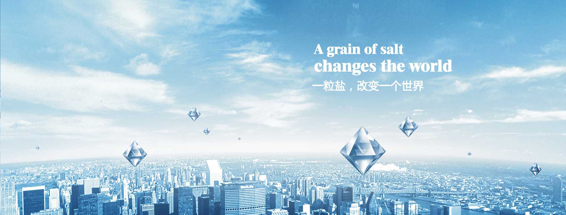 一粒鹽，改變一個世界